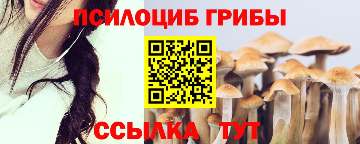 Псилоцибиновые грибы Psilocybe  Галлюциногенные грибы GOLDEN TEACHER  Урюпинск  Вход с VPN 