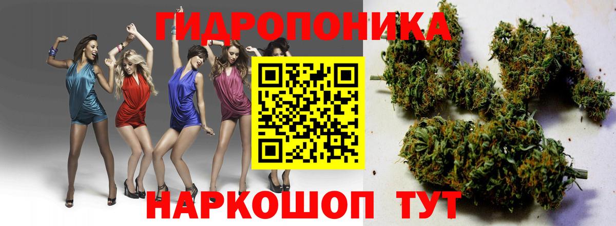 Канабис сатива Урюпинск
